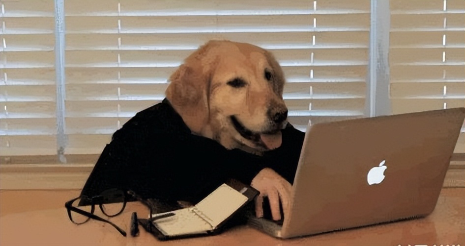 卧室冷冻小冰箱推荐哪个品牌,家用小冰箱推荐什么品牌