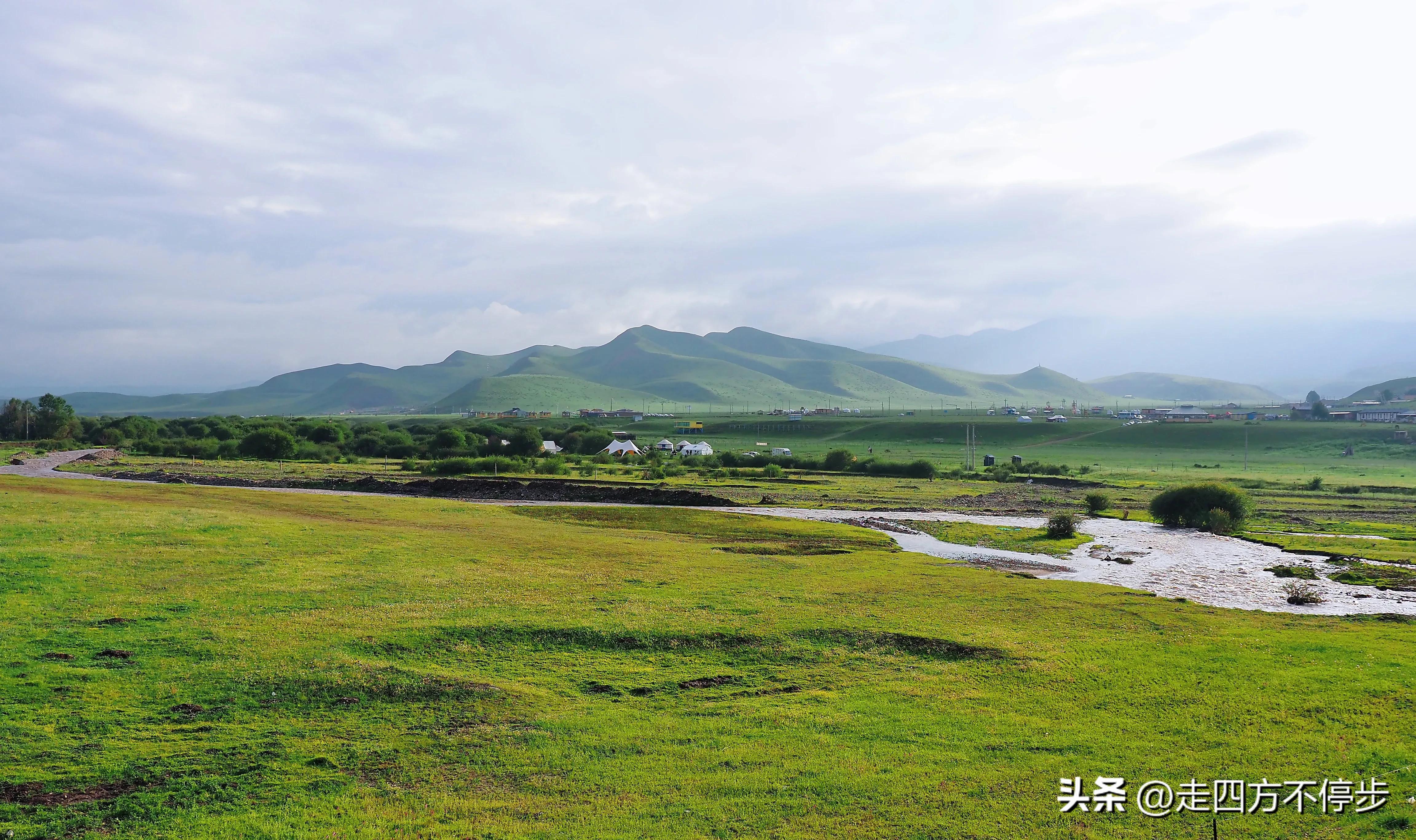 甘南自驾游桑科草原下一站,甘南桑科草原高清精美视频