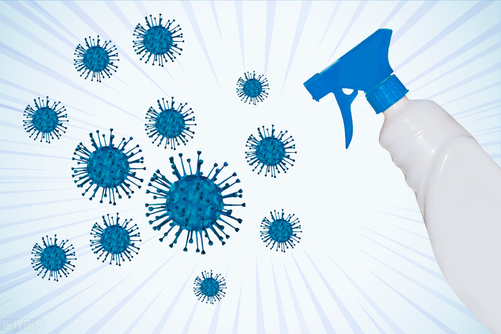 提高免疫力的早餐搭配食谱,女人增强免疫力吃什么早餐