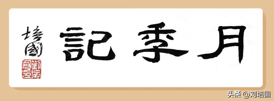 市花月季公园,市花月季