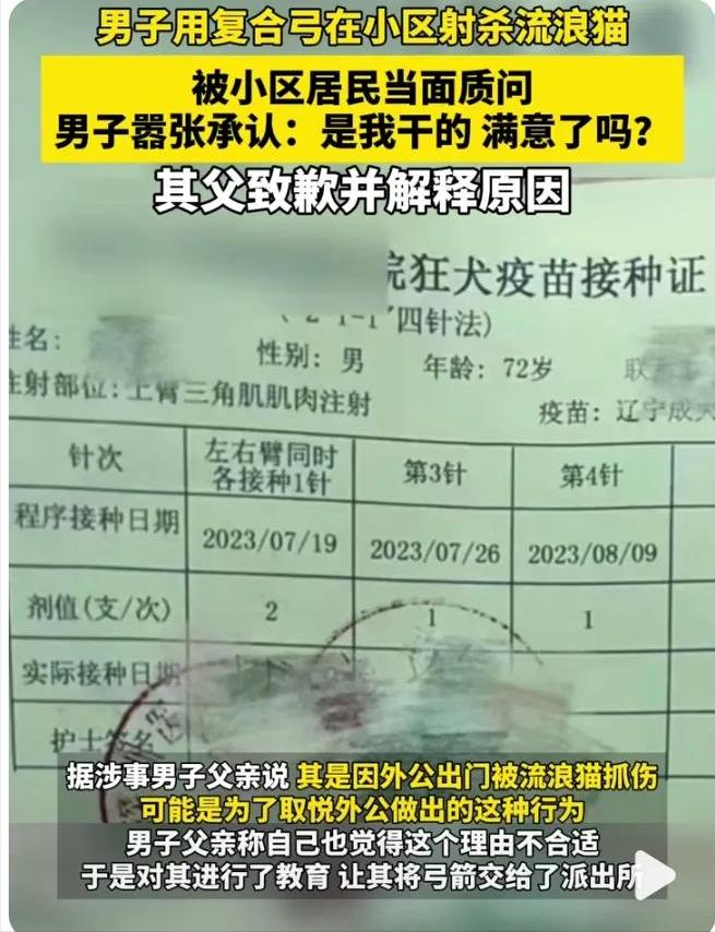 深圳弓箭射流浪猫警方介入,深圳男子用弓弩射杀流浪猫后续