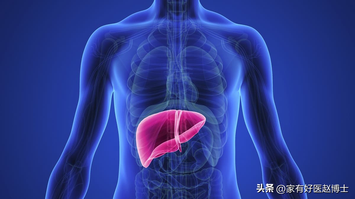 高密度胆固醇hdl偏低应该如何饮食,高密度脂蛋白胆固醇hdl偏低0.85