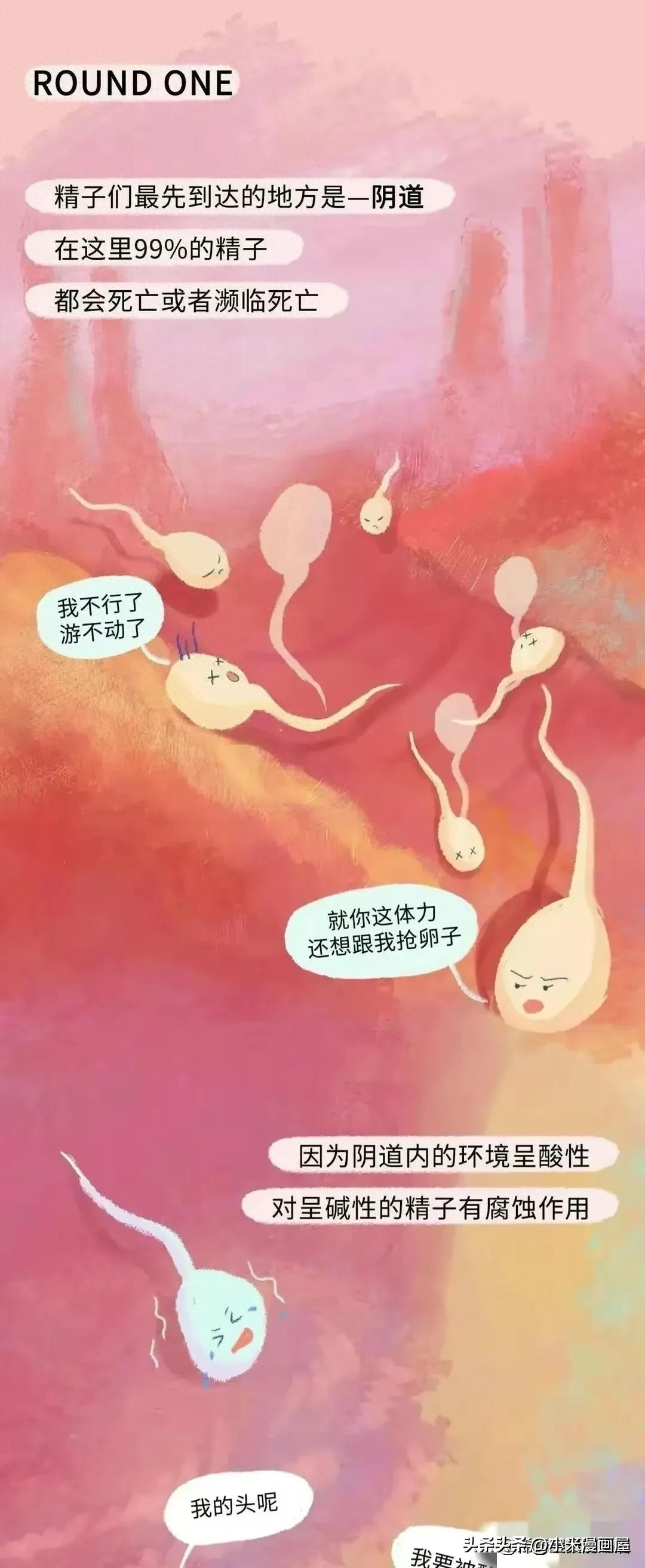 小蝌蚪找妈妈故事完整漫画,漫画中小蝌蚪是什么