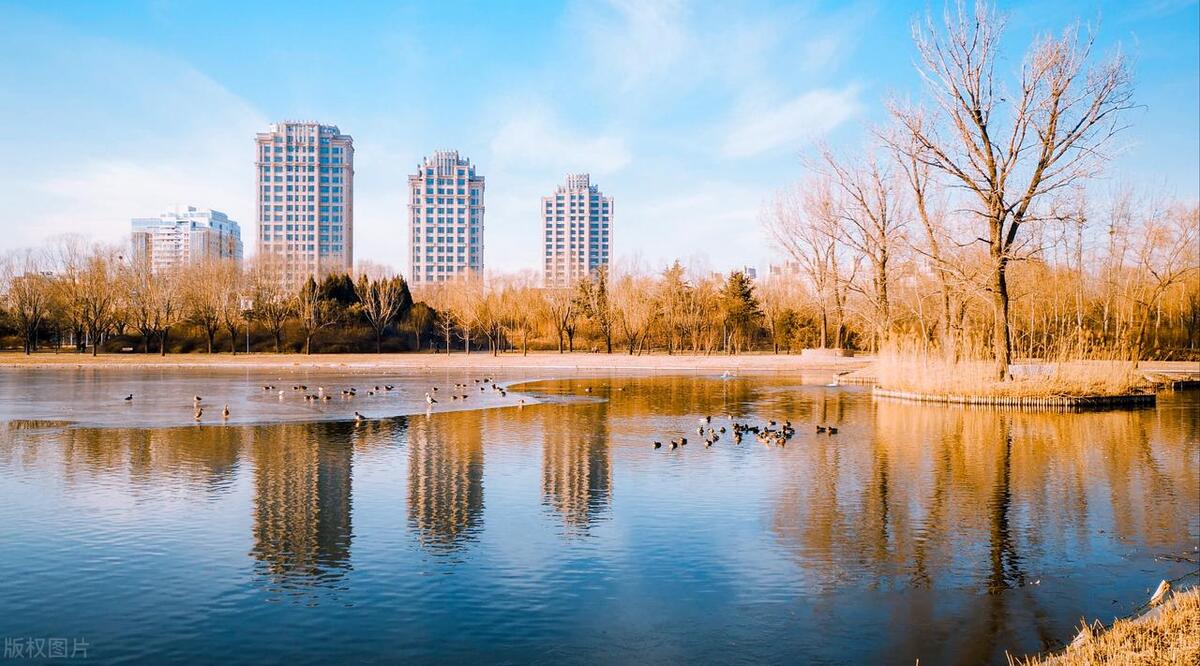 朝阳区文旅局,北京朝阳区文旅局电话