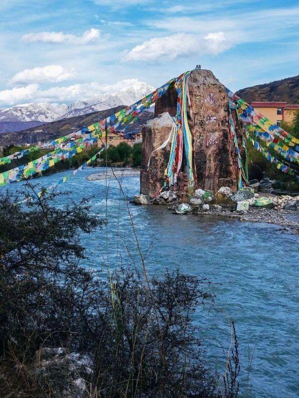 水井坊1号菌群,水井坊一号