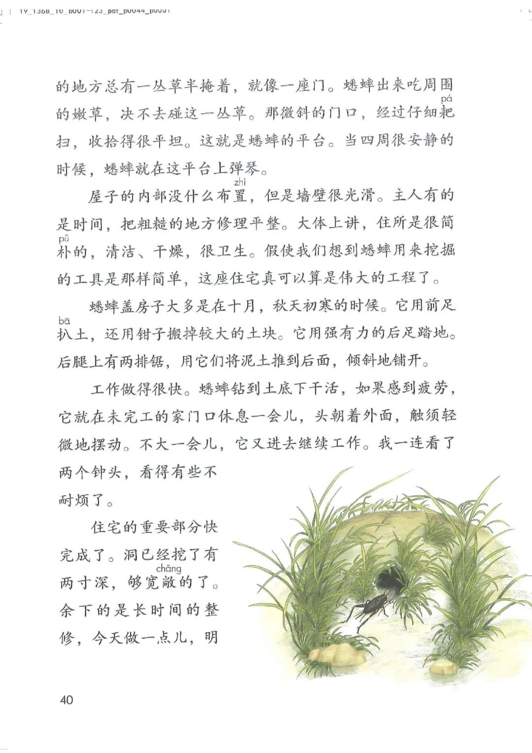 电子课本|人教部编版教材小学语文四年级（上册）课本-暑假预习