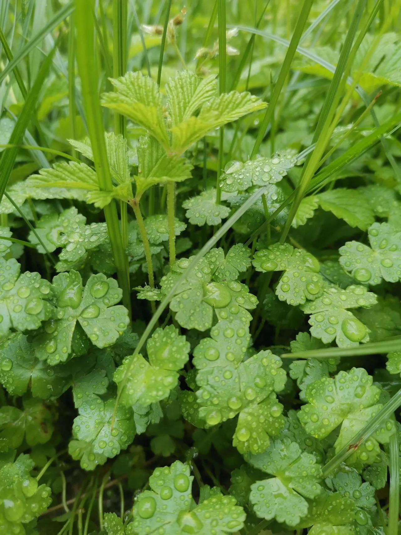 工业互联网大赛,工业互联网平台