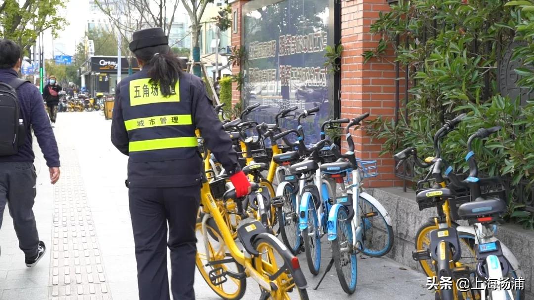 共享单车“乱象”怎么治理？杨浦亮“绝招”！