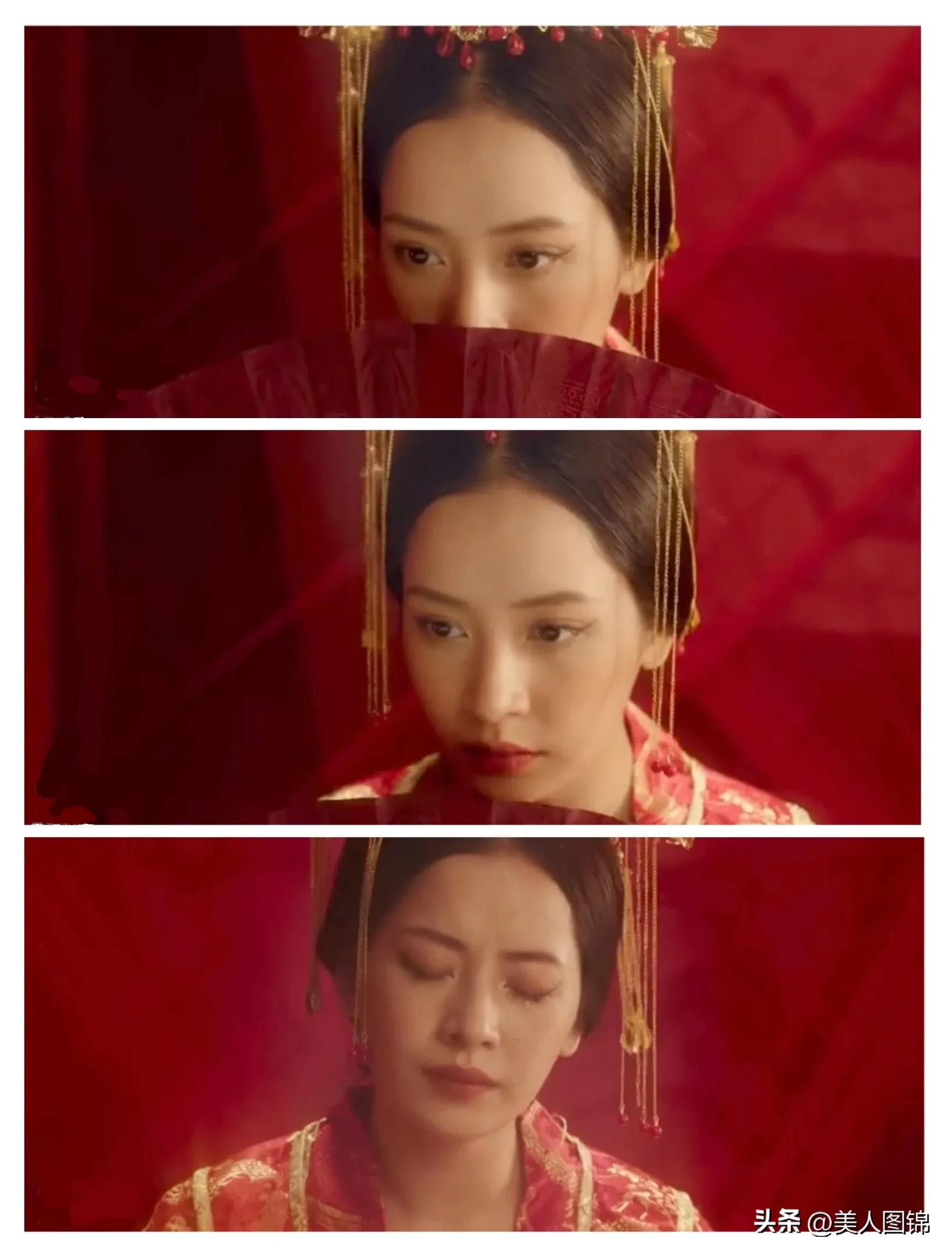 越南芝芙,芝芙越南