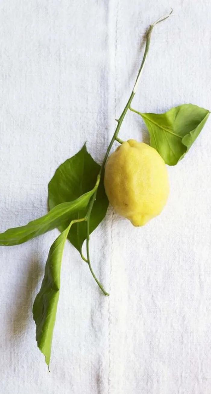 姘翠腑鏌犳澹佺焊,鏌犳澹佺焊澶村儚