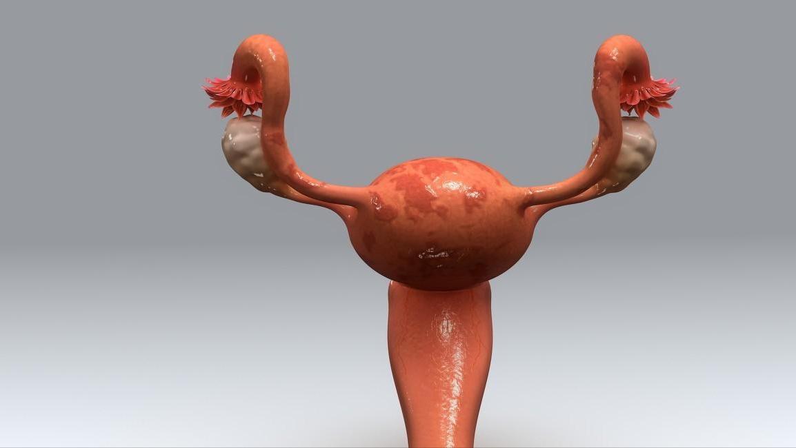 私部有痘怎么治疗,私部长痘痘可以自愈吗