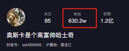 全网最听话的奥斯卡二哈,一只被主人逼疯的二哈奥斯卡