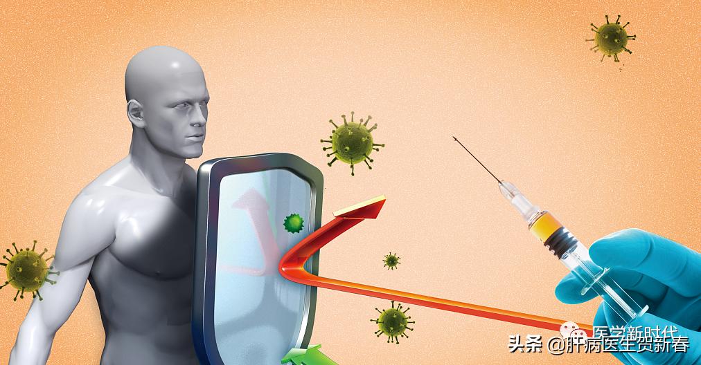 慢性乙肝患者抗病毒治疗首选药物,乙肝患者吃哪种抗病毒药最好