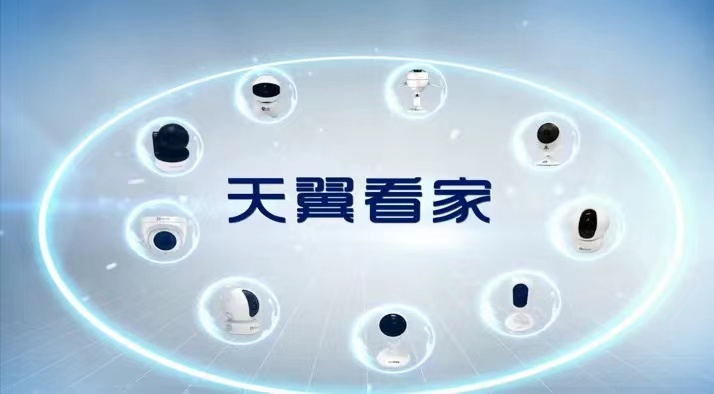 铲屎官的乐趣萌宠日常,铲屎官的乐趣一人一狗