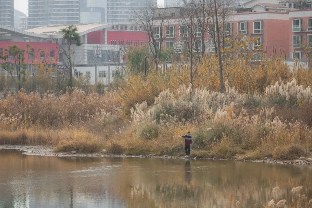 10个城市宝藏,成都还有哪些宝藏公园