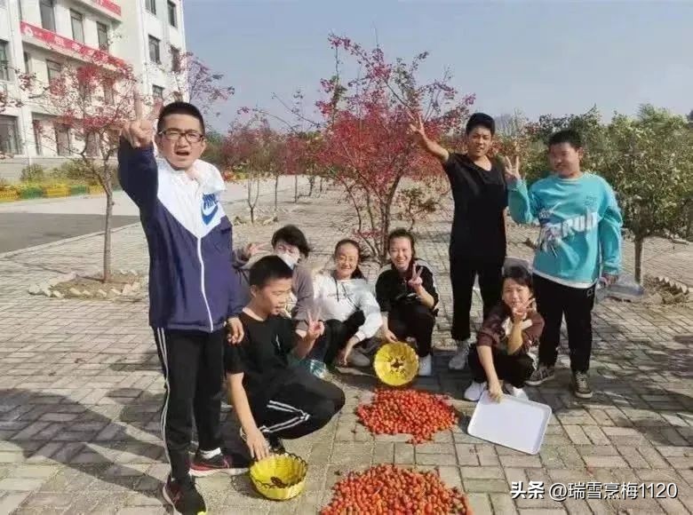 沈北新区教育问题,沈阳沈北新区教育现状