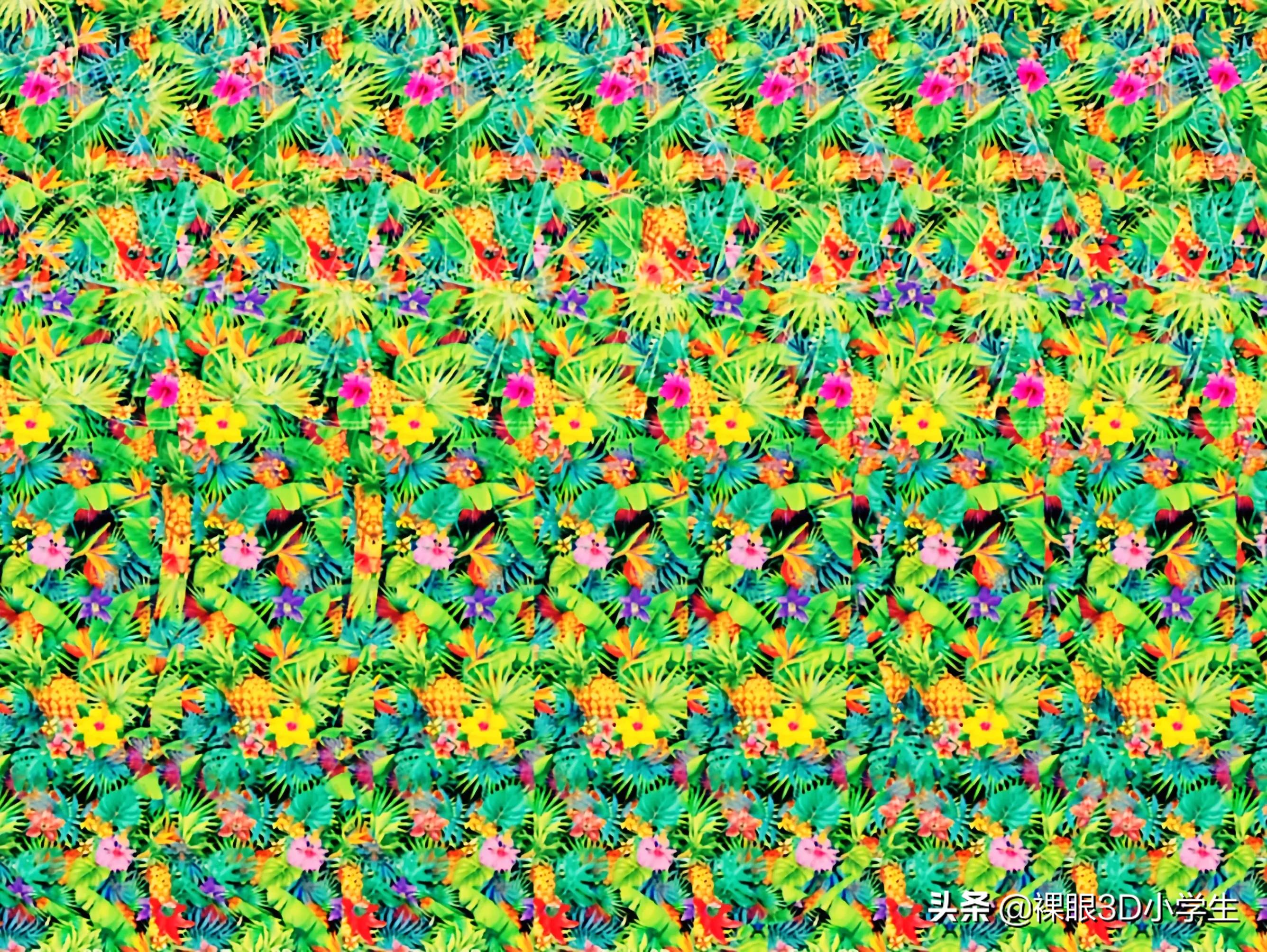 精选图片为什么不推荐,精选绝对精美图片