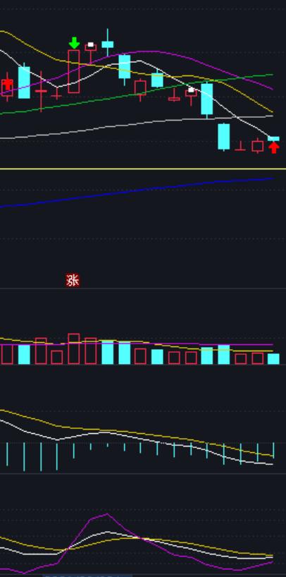 随心动含义,随心意交易软件怎么样