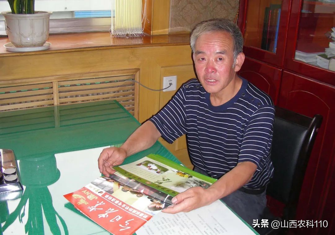 种植绿芦笋哪个品种好,绿芦笋种子四季露地种植技术