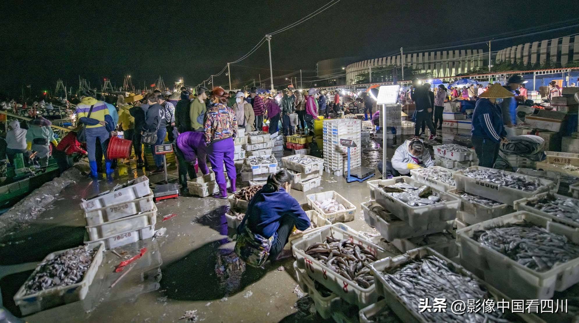 海南陵水新村疍家渔港,海南陵水水产市场