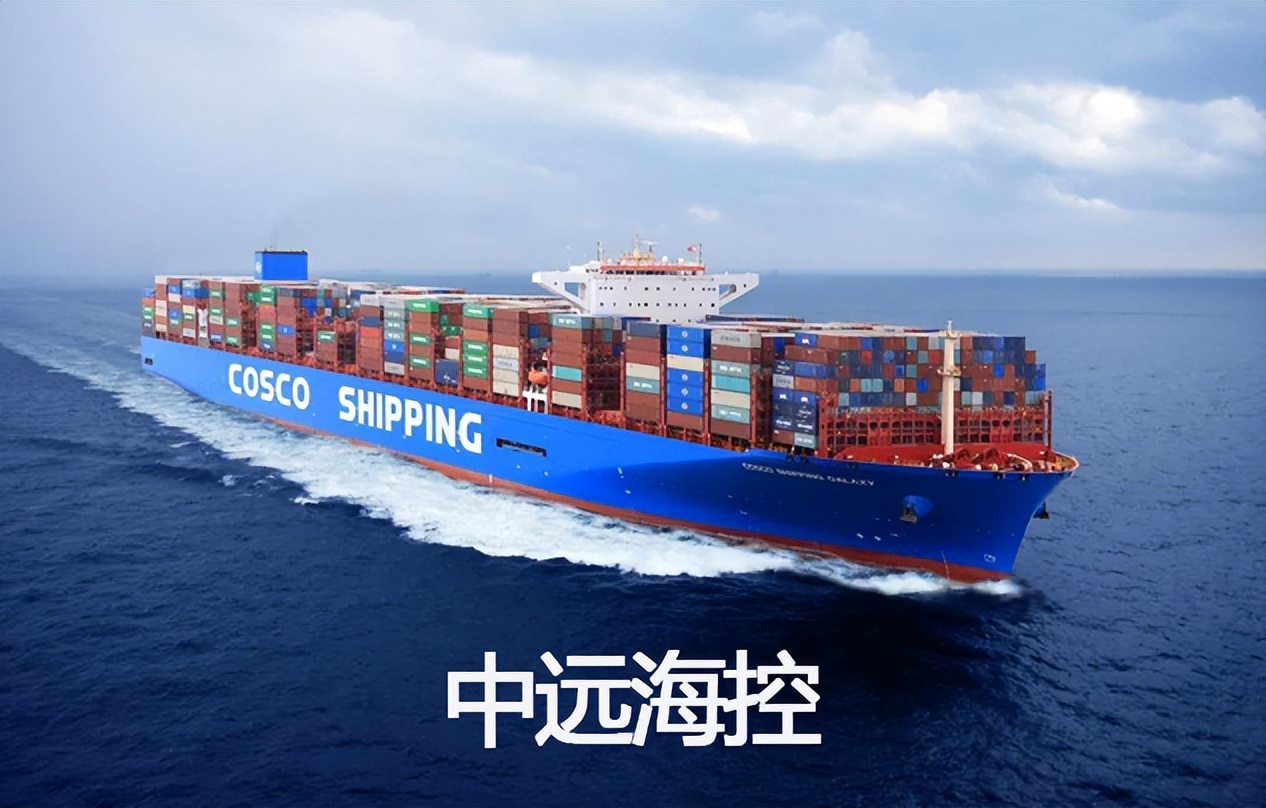 中远海控能给20倍市盈率吗,中远海控股票亏了一半最近能涨吗