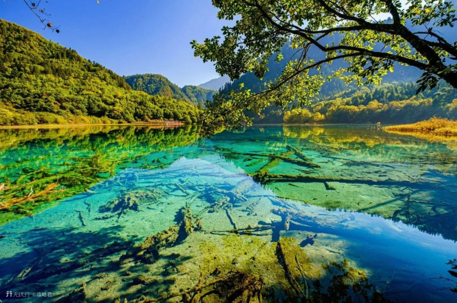 天气炎热游泳馆避暑胜地,去10个避暑胜地清凉一夏吧