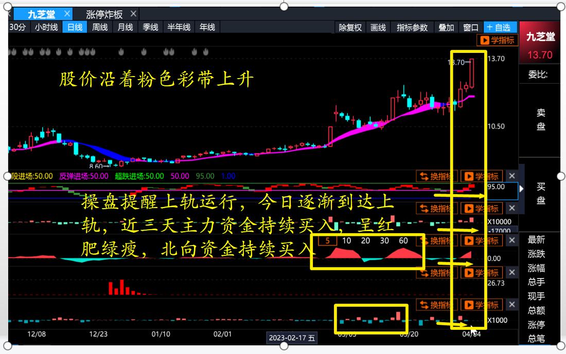 2024九芝堂股价趋势图,九芝堂股票2023最新分析