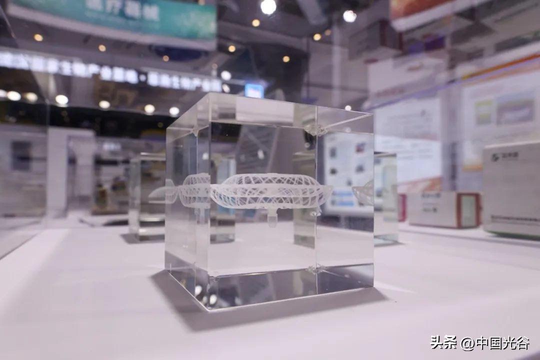 第十五届中国生物产业大会在汉举行，何维视频致辞，陈竺致贺信，王忠林致辞