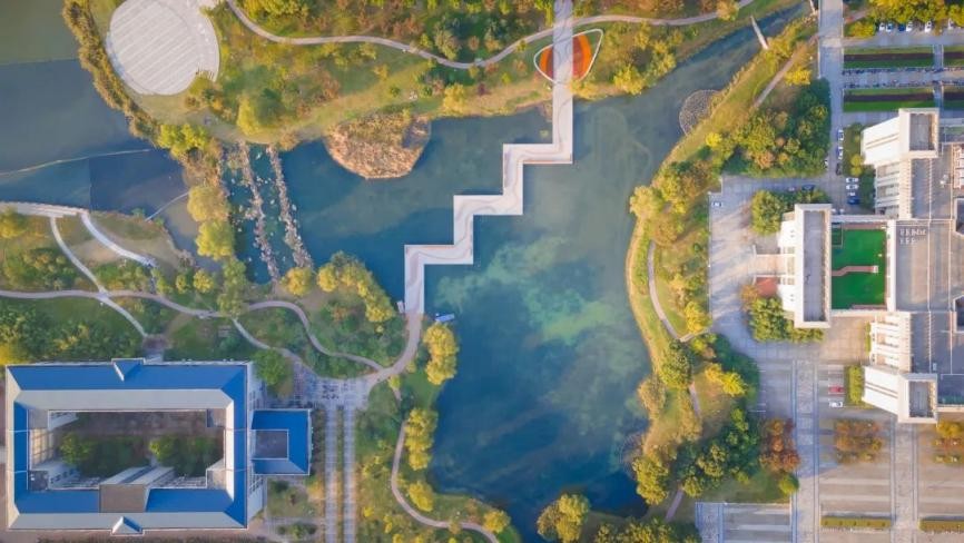 全国仅10位！江苏唯一！这位肝胆肿瘤专家荣获全国“重量级”表彰！