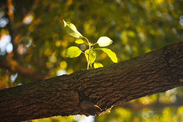 找到“卡住的7”