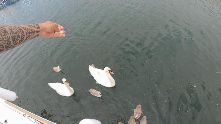 中国小伙的航海日记（十二）法国诺曼底，“蚝中之王”竟如此便宜