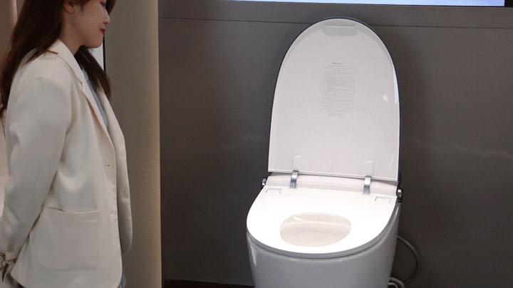 智能马桶618好物推荐,谁能推荐一款经济实用的智能马桶