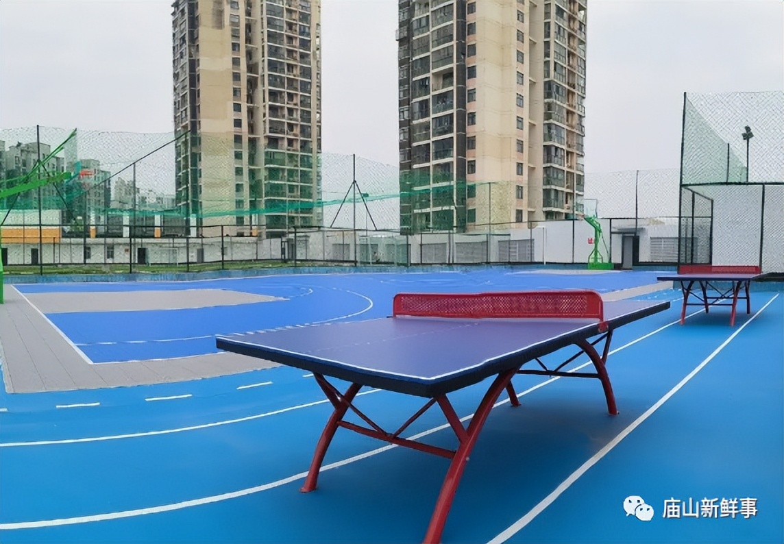 江夏庙山这两大商业体的楼顶，建起了体育运动场馆