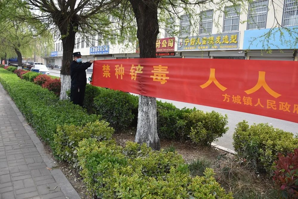 信偏方，当菜吃？临沂警方告诉你：违法，一株也不行！