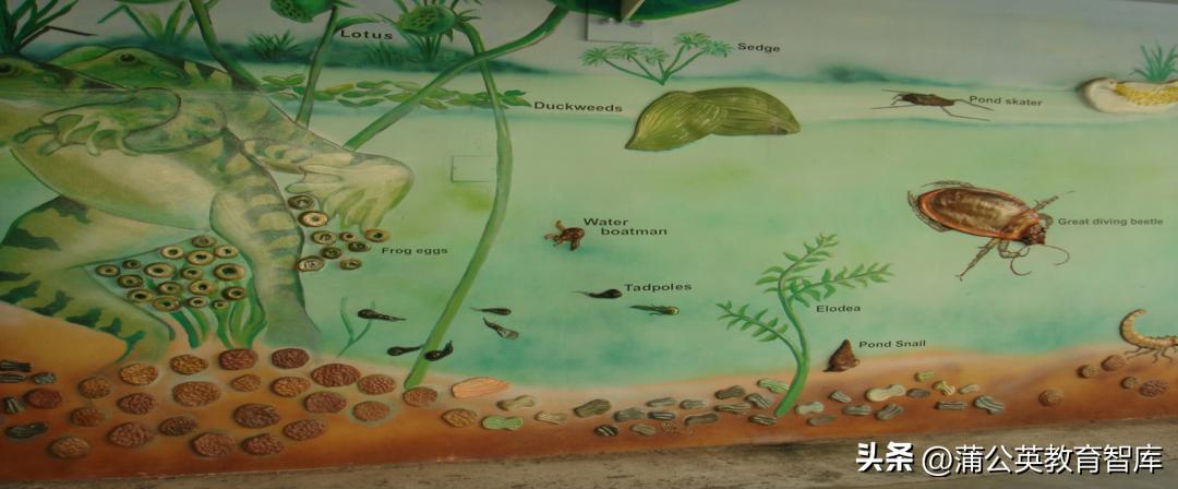 倪闽景:高质量的学习流程再造,我有10个方向性建议