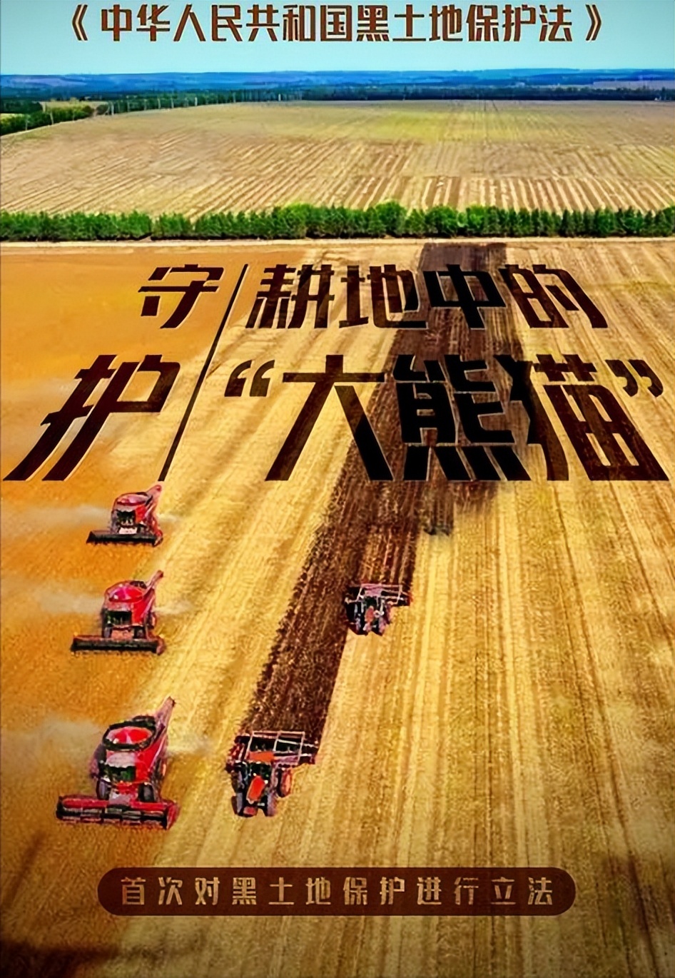 谁在砸中国人饭碗？200万年形成的“土中熊猫”，被4元贱卖给美日