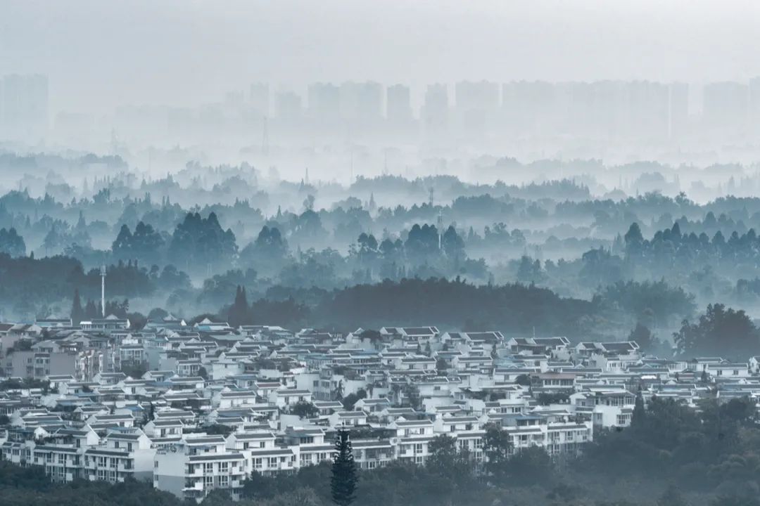 成都向上最新信息,年度向上力量合照