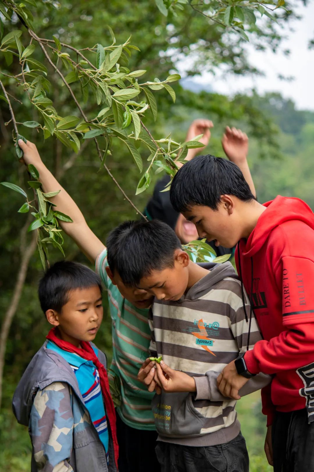 大山里的支教故事幼儿舞蹈,大山里的支教故事