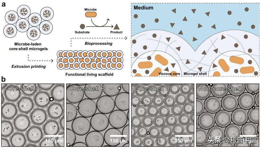 碎屏的安卓手机只需要换屏,黑科技修复手机爆屏