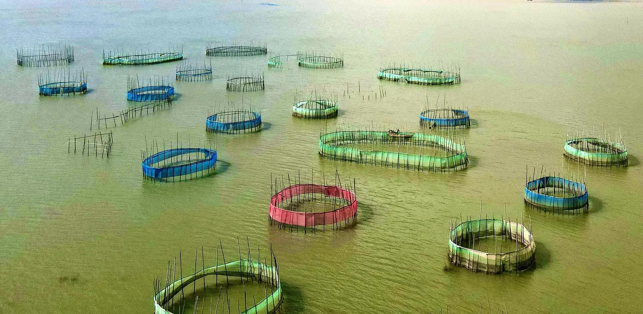 坚持和认真的态度短句,坚持是一种态度文案