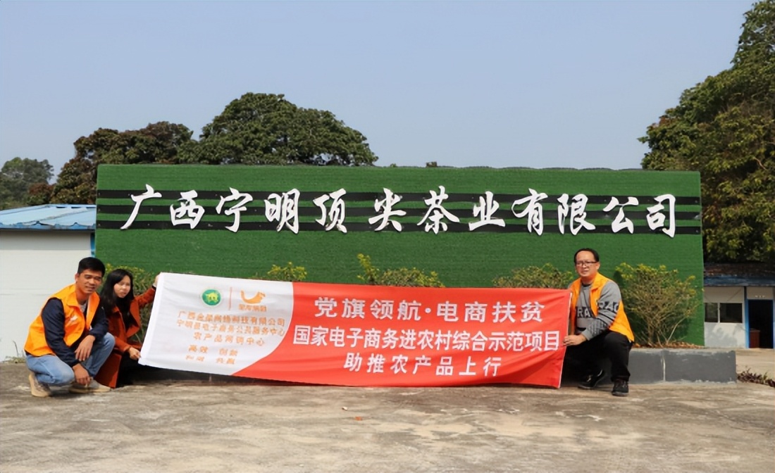 电商茶叶带动乡村产业发展,乡村振兴茶叶产业发展典型案例