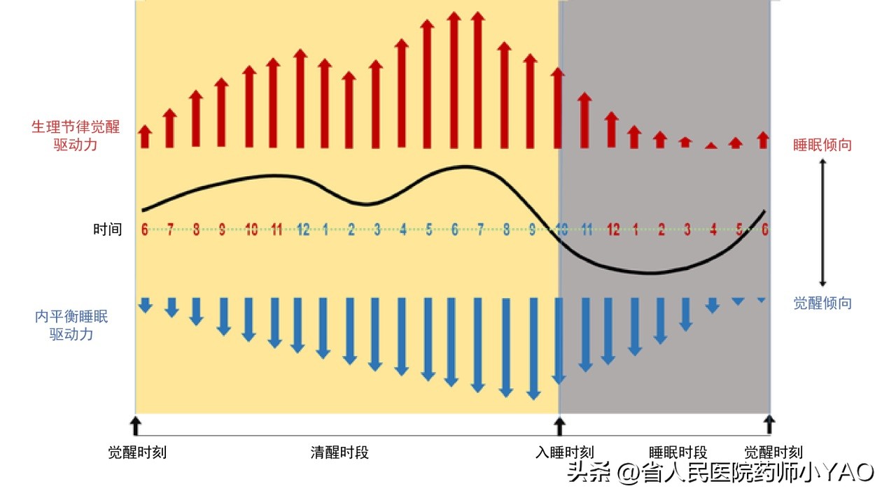 助眠安眠药购买需要什么条件,安眠药常见的种类