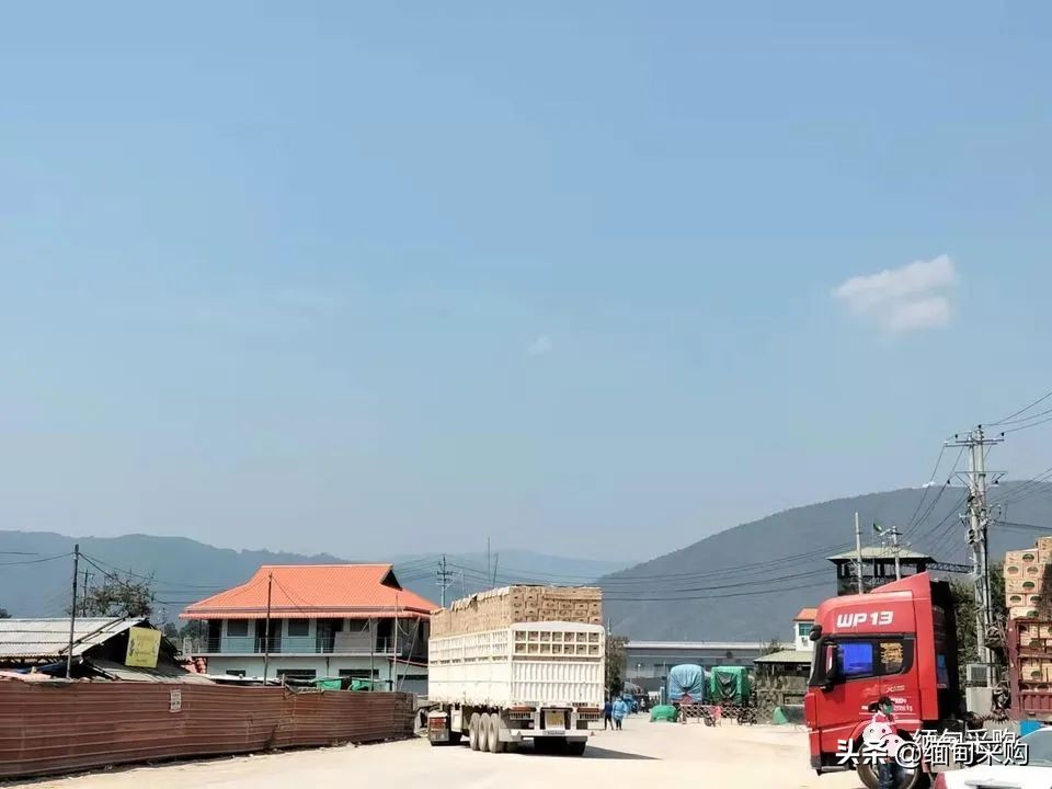 缅甸贸易进出口最新消息,缅甸农产品采购网站