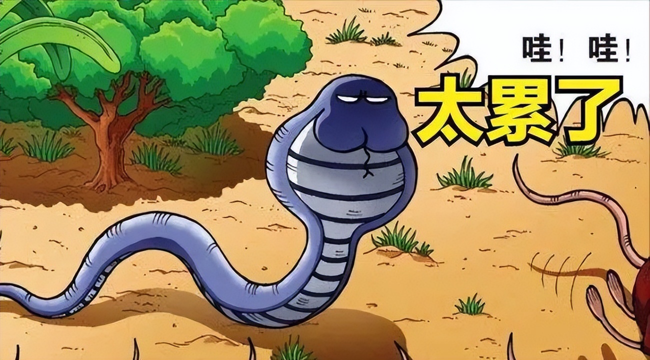 蛇吃黄鳝真会有危险吗,为什么蛇吃黄鳝会咬人