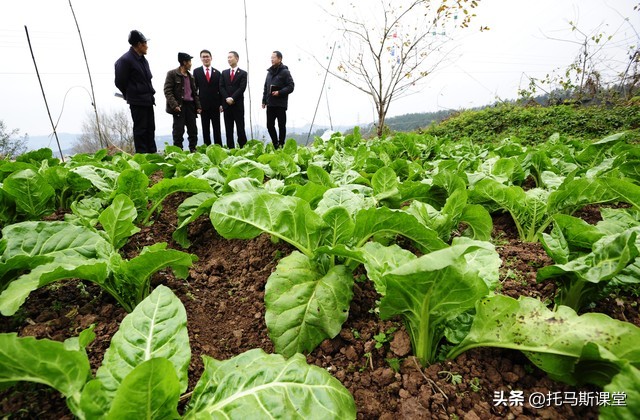 种地难农民苦怎么办,种地难种地累种地没得效益