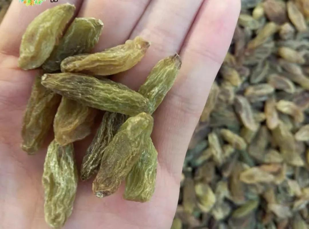 春节回家必备年货清单,新年倒计时速备年货啦