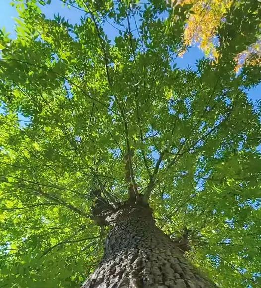 孩子抽烟家长该怎么纠正教育,叛逆期抽烟家长该怎么管制