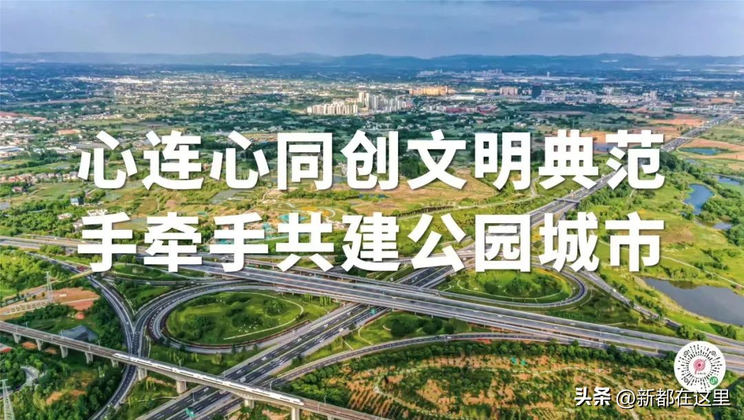 五星级酒店入住视频,廖家湾大酒店