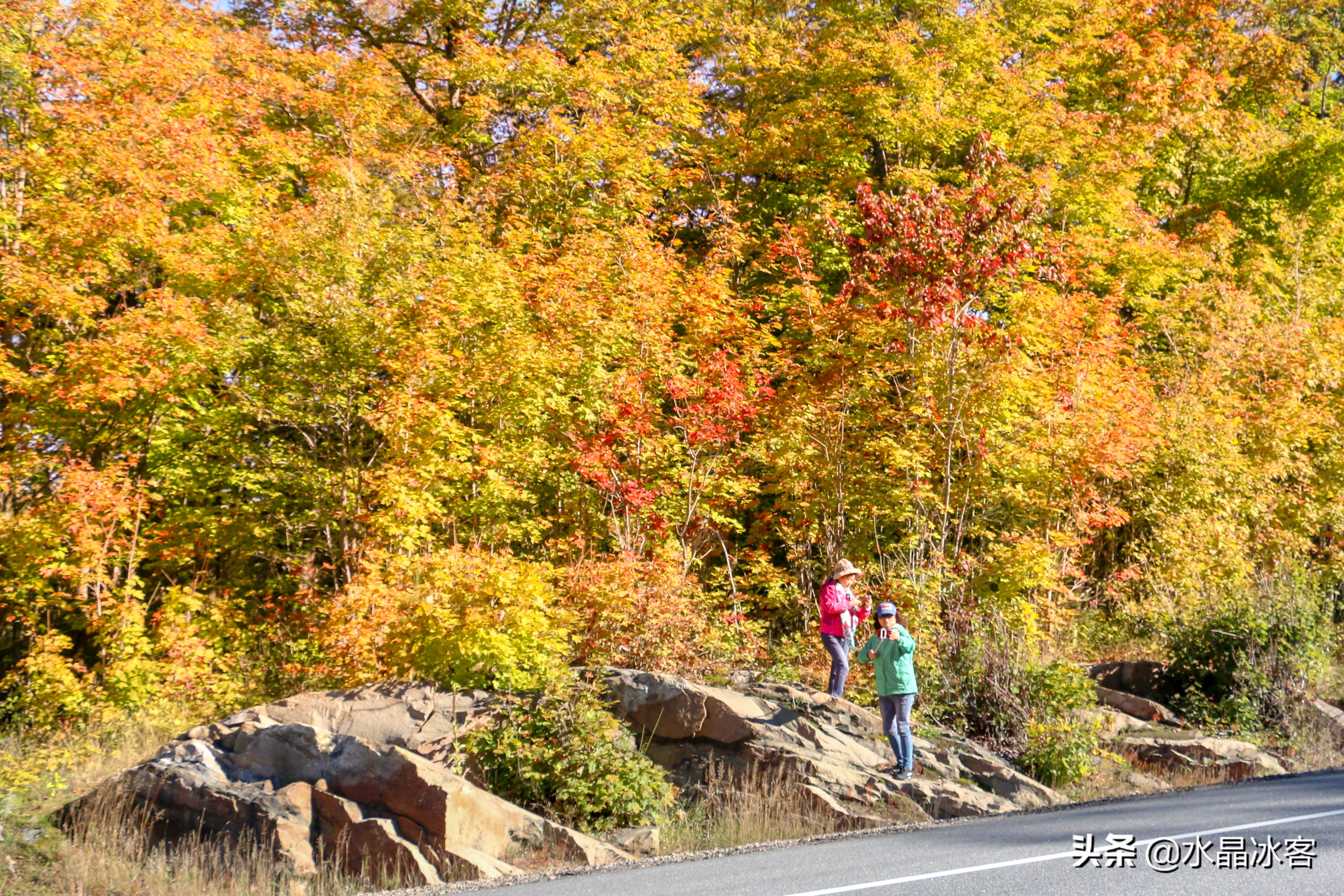 美东加东旅游,美东加东