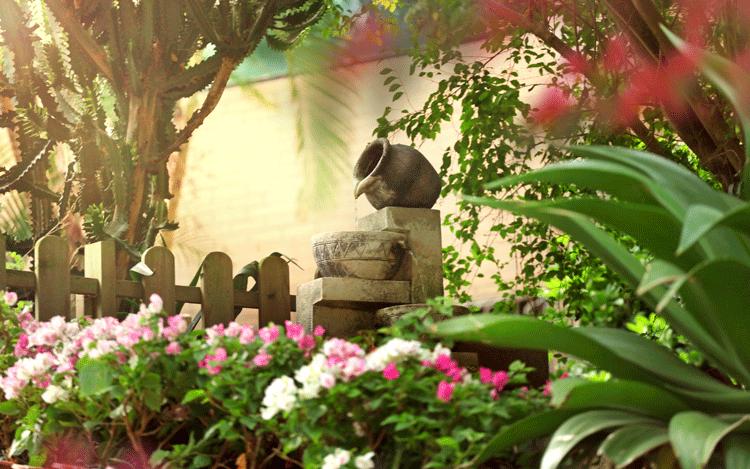 赏城中美景，品厦门味道。城市中心C位酒店，毗邻植物园、中山路